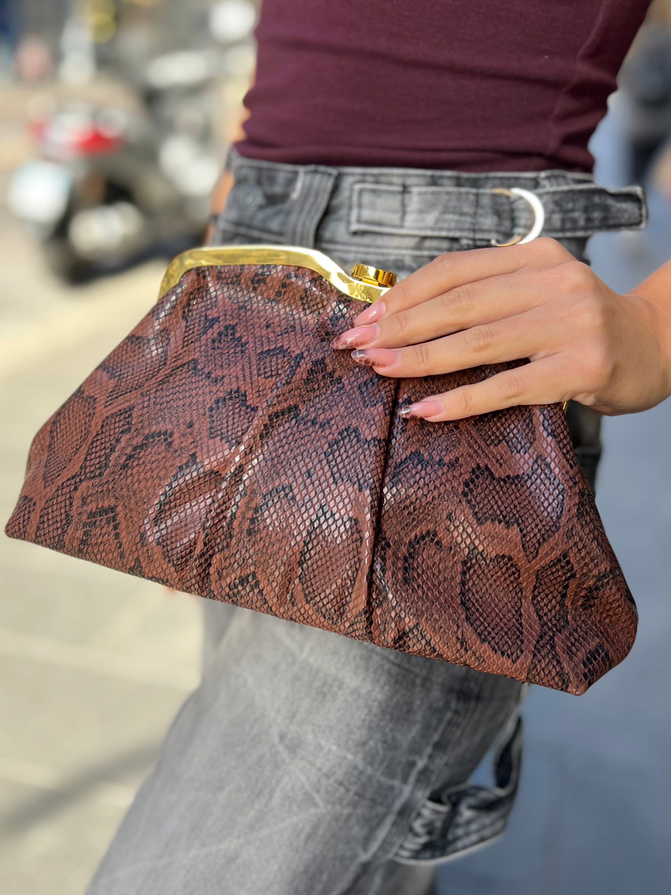 Borsa Pitonata